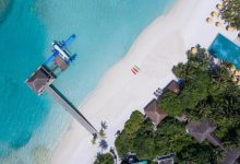 WordPress 只允许游客浏览指定分类的文章-主题秀