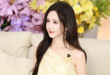 WordPress首页显示本周和今日更新的文章数量-主题秀