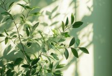 WordPress 如何实现截取pdf首页作为缩略图片-主题秀