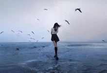 代码实现WordPress根据用户权限不同隐藏内容-主题秀