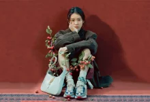 WordPress 混合内容中常见的 SSL 问题-主题秀