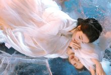 WordPress 判断当前分类是否有子分类？代码-主题秀