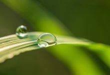 WordPress获取当前文章上一篇文章的信息函数-主题秀