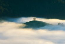 作为WordPress建站的开发者为什么坚持尽可能少用插件-主题秀