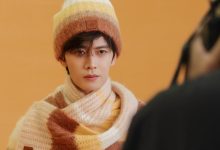 升级WordPress 6.9后无法发送邮件-主题秀