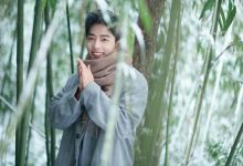 wordpress下拉菜单样式表代码分享-主题秀