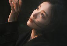 WordPress显示当前文章分类下的最新文章-主题秀