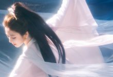 WordPress 后台主页显示设置增加文章选择-主题秀