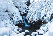 WooCommerce报致命错误 Fatal error:call to undefined function putenv()-主题秀