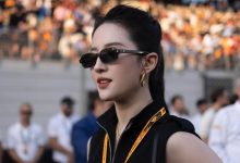 WordPress 判断邮箱是否设置了头像-主题秀