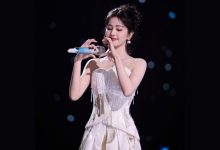 WordPress 显示文章作者最近发表过评论的文章-主题秀