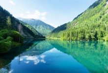 WooCommerce 获取用户总消费金额-主题秀