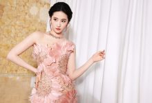 WordPress主题添加自定义用户联系信息-主题秀