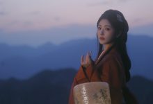 WordPress网站不显示某个分类文章-主题秀