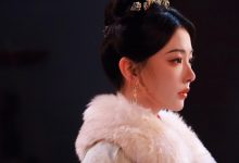 WordPress通过Cookie记录用户的搜索历史-主题秀