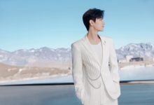 WordPress 添加可重复使用的自定义metabox 字段-主题秀