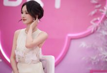 WordPress文章页面添加字体增大减小-主题秀