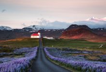 WooCommerce购物车对象使用以及方法函数概括-主题秀