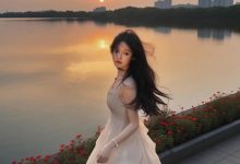 WordPress后台页面文章及自定义文章类型文件夹整理工具Wicked Folders-主题秀