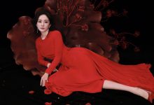 WordPress 纯代码实现用户积分系统-主题秀