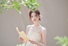 wordrepss让pre支持php代码并换行-主题秀