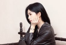 wordpress调用相同文章形式的内容列表-主题秀