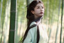 给WordPress主题分类\标签页面增加点赞功能-主题秀