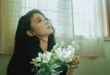 如何调用wordpress当前分类列表的标签-主题秀