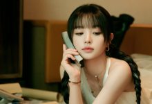 如何禁用WordPress自动更新？关闭WordPress自动升级方法-主题秀