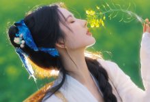 纯代码为WordPress文章内容页增加阅读全文展开功能-主题秀