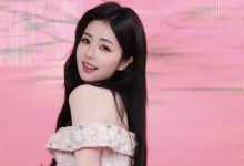 在wordpress列表中不显示某指定分类文章-主题秀