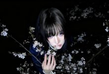 获取wordpress作者的文章数量及评论数量函数-主题秀