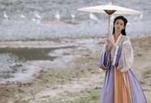 什么是WordPress REST API完整解读手册-主题秀