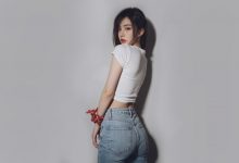 怎样给WordPress程序后台默认选项菜单重命名-主题秀
