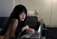 为WordPress用户作者个人资料的添加qq/微博信息-主题秀