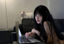 怎样获取wordpress当前页面分类ID-主题秀