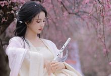 wordpress调用特某分类置顶文章及数量的代码-主题秀